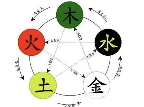 翔五行|翔字的五行属性